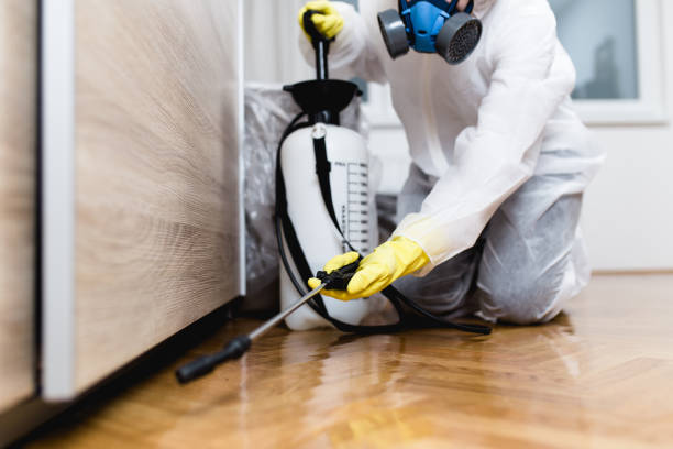 Best Emergency Pest Control  in South Corning, NY