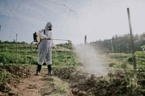 Professional Pest Control in South Corning, NY