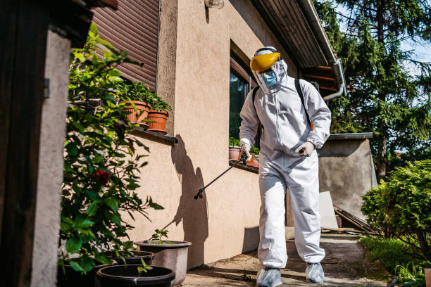Pest Control for Restaurants in South Corning, NY