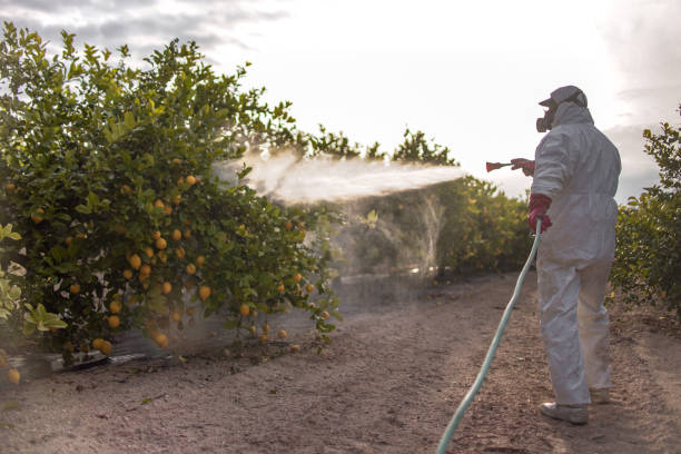 Best Emergency Pest Control  in South Corning, NY