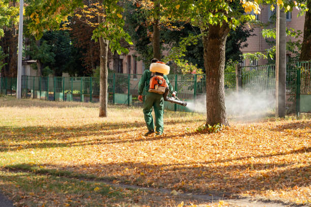 Best Commercial Pest Control Services  in South Corning, NY